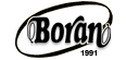 Boran Logo 1991